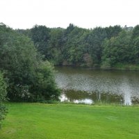 Ветер над прудом :: Александр Буянов Ветер над прудом :: Александр Буянов