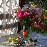 Доброе утро, дорогие друзья ! :: Татьяна Лютаева