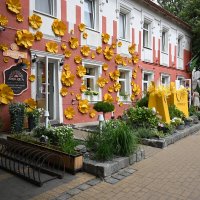 Солнечный город :: redfox 