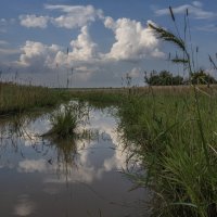 Полдень :: Владимир 