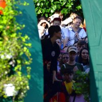 Зрители. :: Наталья Вязигина