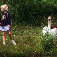 "Эй, посмотрите кто пришел!" :: Владимир Безбородов