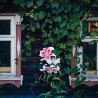 Суздаль такой Суздаль. :: Вячеслав Владимирович