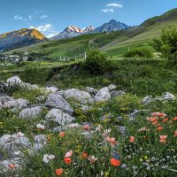 Кавказ :: Владимир Колесников Кавказ :: Владимир Колесников