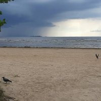 *** :: Наталья Герасимова