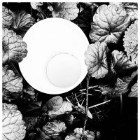 *** :: someone somewere