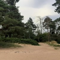 *** :: Наталья Герасимова *** :: Наталья Герасимова