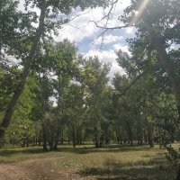 Август :: Андрей Хлопонин Август :: Андрей Хлопонин