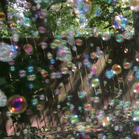 Мыльные пузыри :: Ольга Довженко