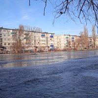 причуды января :: Елена Шаламова причуды января :: Елена Шаламова