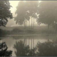 Утро... :: Aleksandr Gal