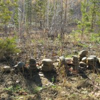 Приметы туристов :: Anna Ivanova