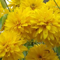 Уж дышит август сентябрём, и календарь тасует масти, а мы всегда чего-то ждём: то лета, то зимы, т :: Freddy 97