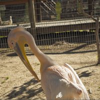 Хайфа Израиль север страны :: ujgcvbif 