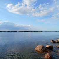 Камни - спутники Финского залива. :: Лия ☼