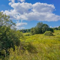 Палитра августа... :: Владимир Жданов Палитра августа... :: Владимир Жданов