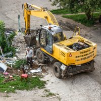 "Белый воротничок". :: Михаил "Skipper" "Белый воротничок". :: Михаил "Skipper"