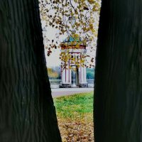 Фрейминг как приём в фотографировании :: Любимова Ольга 