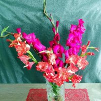 Цветы нам дарят настроенье :: Ольга Довженко