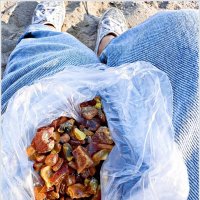 Янтарь. :: Валерия Комова Янтарь. :: Валерия Комова