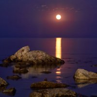 лунная ночь в Крыму :: Эдуард Тищенко