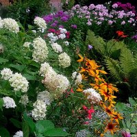 **** :: Елена Семигина