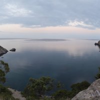 Природа Крыма :: Amazing Cosmea