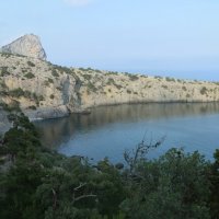 Природа Крыма :: Amazing Cosmea