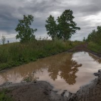 Дождливый день :: Марина Фомина.