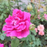 ,,, :: Сергей Тимоновский