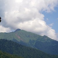 В горах :: Татьяна Тюменка