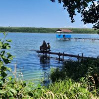 На озере :: Мария Гуськова