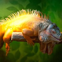 Контактный зоопарк :: Андрей 