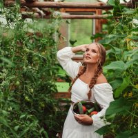 Тепличная история :: Анна Ермоленко