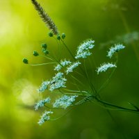 ... :: василий 