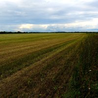 Родные просторы :: Dar(k) Life