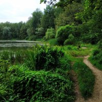 Сегодня людей в парке было не много :: Андрей Лукьянов