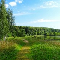 Наше лето. :: Милешкин Владимир Алексеевич Наше лето. :: Милешкин Владимир Алексеевич