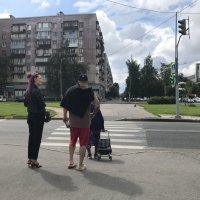 очередь на зебру :: zavitok *