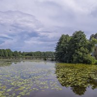 Введенское озеро :: Сергей Цветков