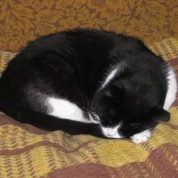 Когда на улице дождь :: Людмила Смородинская