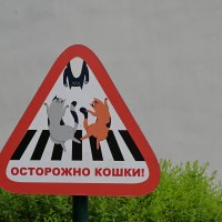 Солнечный город :: redfox 