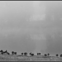 утро.. :: Aleksandr Gal