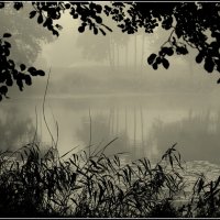 *** :: Aleksandr Gal