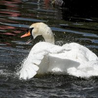 Москва. Сад будущего. :: Наташа ***** Москва. Сад будущего. :: Наташа *****