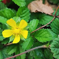 ,,, :: Сергей Тимоновский