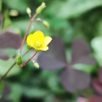 ,, :: Сергей Тимоновский