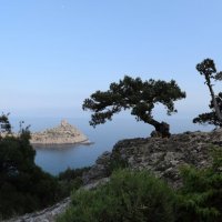 Природа Крыма :: Amazing Cosmea