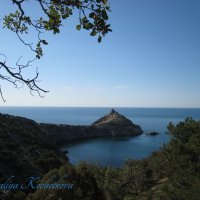 Природа Крыма :: Amazing Cosmea