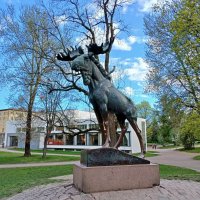 Библиотека Алвара Аалто. :: Лия ☼